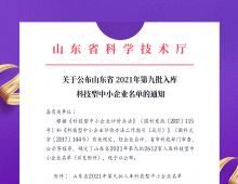 热烈祝贺我司获得“科技型中小企业”荣誉称号